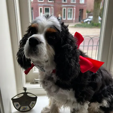 One-twenty-one Naarden